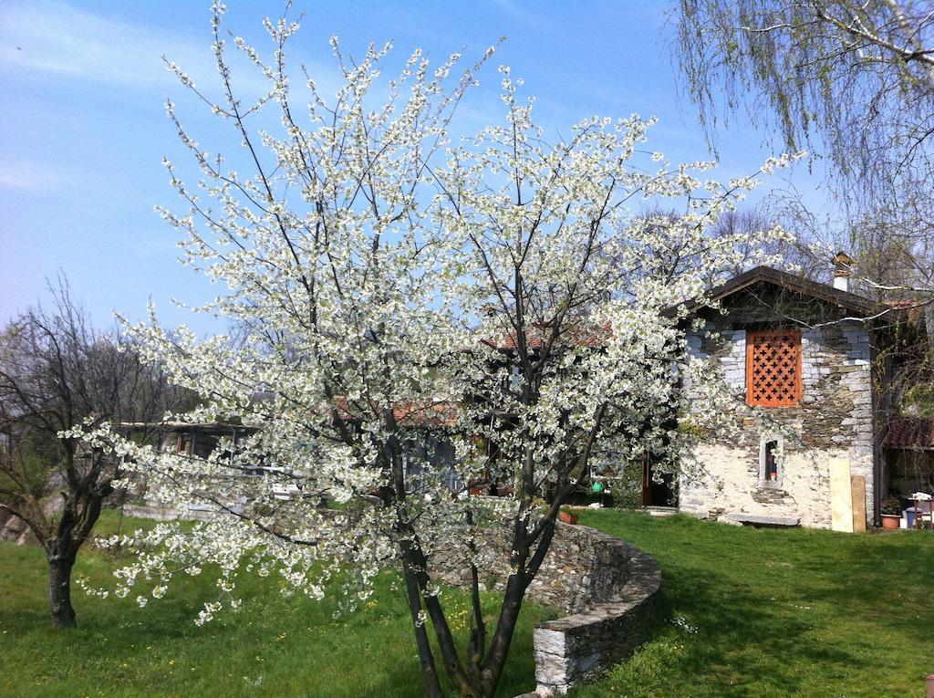 Apartmán Il Ciliegio Selvatico Verbania Exteriér fotografie
